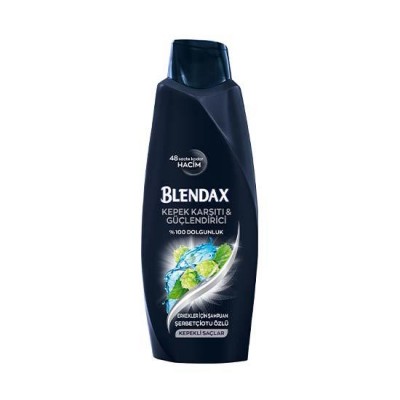 Blendax Şampuan Erkekler İçin Kepekli Saçlar 550 ml